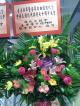 善堂副秘書長出席新界各界慶祝抗戰勝利70周年慶祝活動