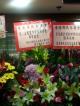 少雄主席出席香港鄧氏宗親會25屆理監事就職典禮